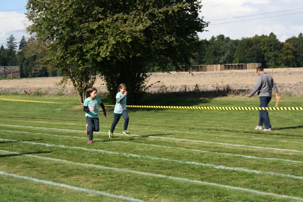 Bild 1 (88)